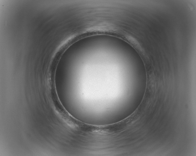 X0000081380680200701182206