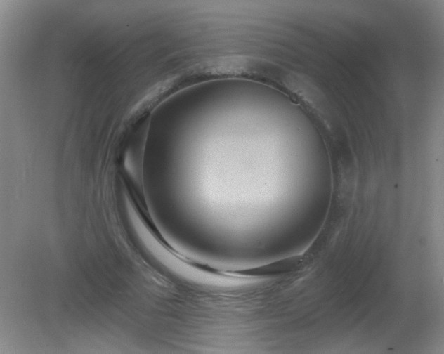 X0000081380681200701182206