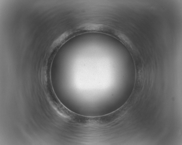 X0000081380682200701182206