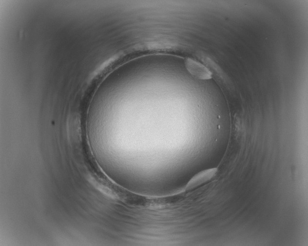 X0000081380684200701182206