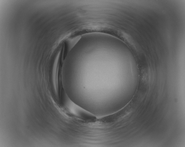 X0000081380685200701182206