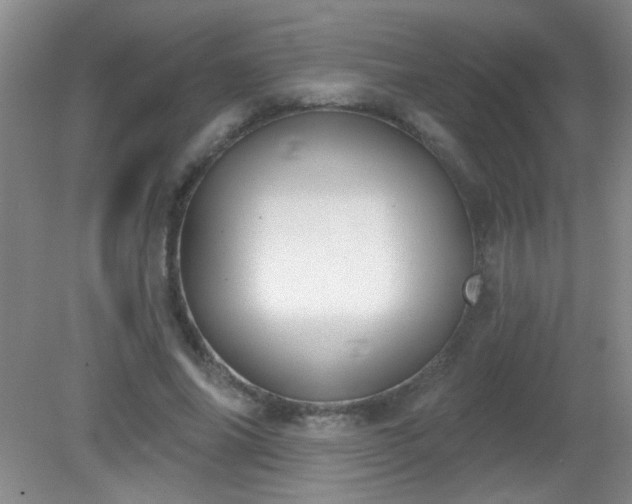 X0000081380686200701182206