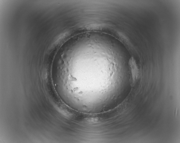 X0000081380687200701182206