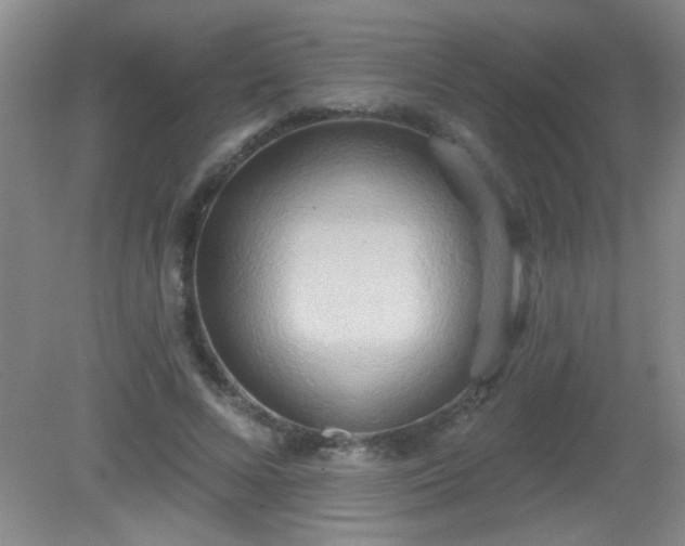 X0000081380688200701182206