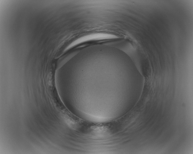 X0000081380689200701182206