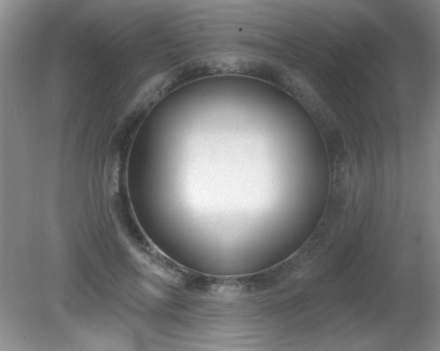 X0000081380694200701182206