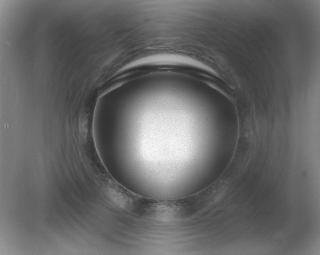 X0000081380697200701182206