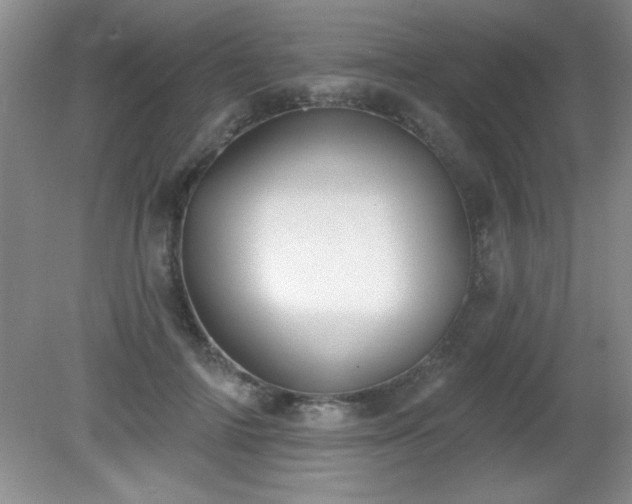 X0000081380698200701182206