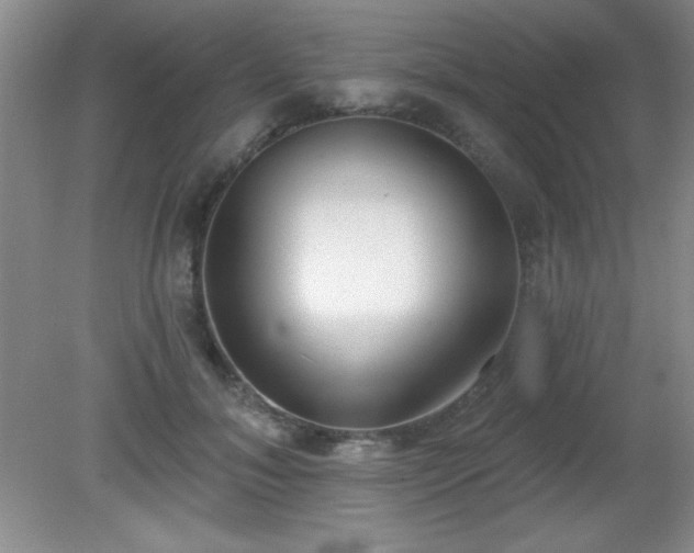 X0000081380700200701182206