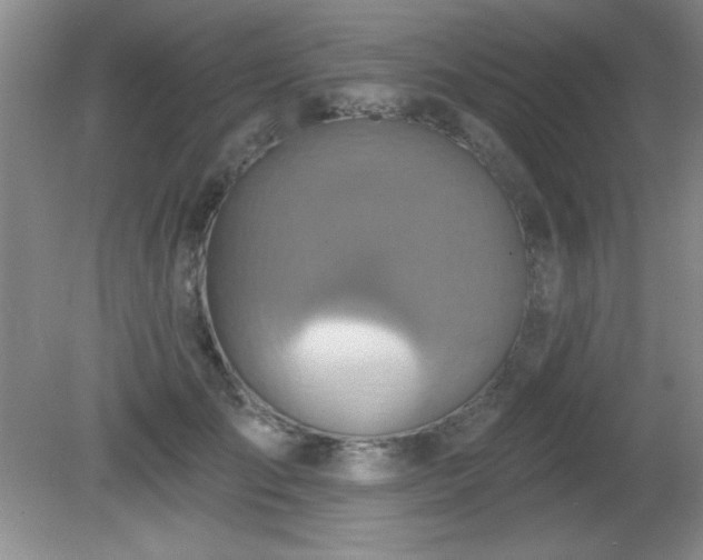 X0000081380701200701182206