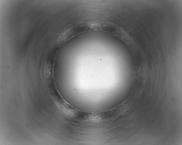 X0000081380702200701182206