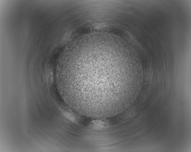 X0000081380703200701182206