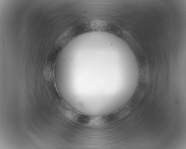X0000081380705200701182206