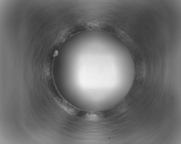 X0000081380706200701182206
