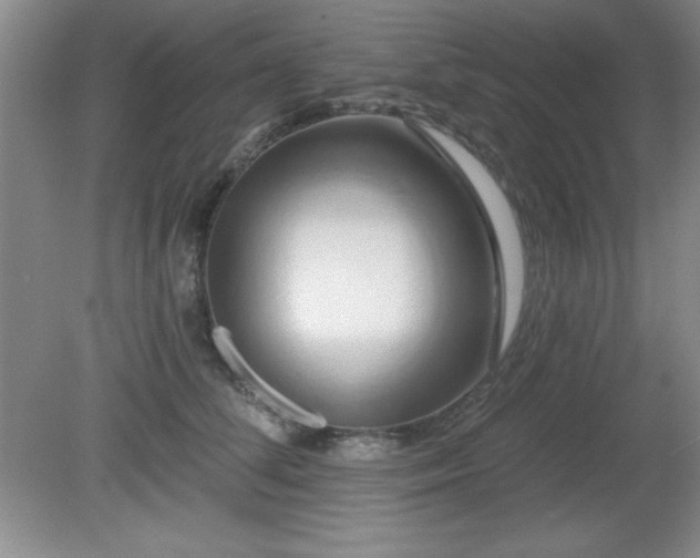 X0000081380708200701182205