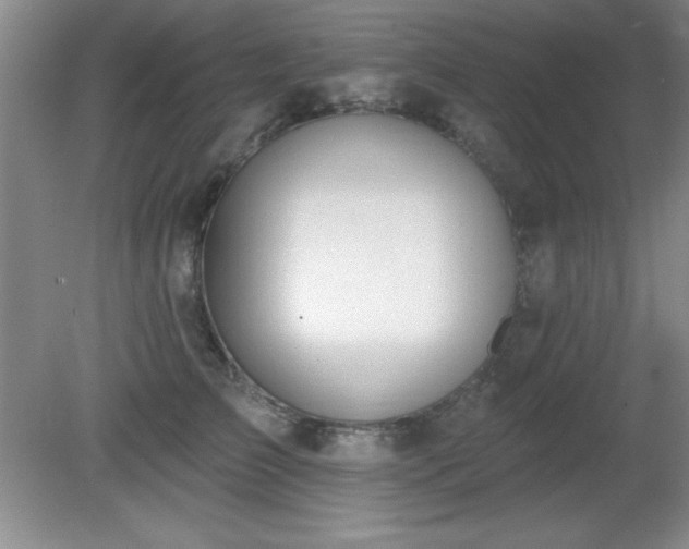 X0000081380709200701182205