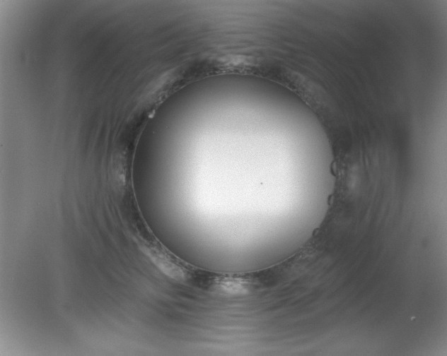 X0000081380710200701182205