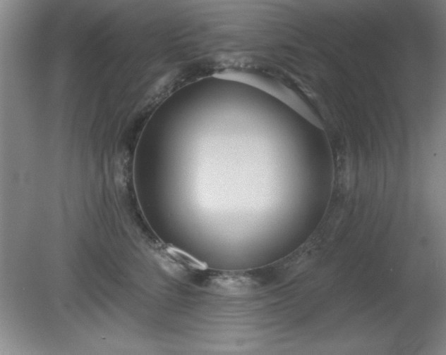 X0000081380712200701182205
