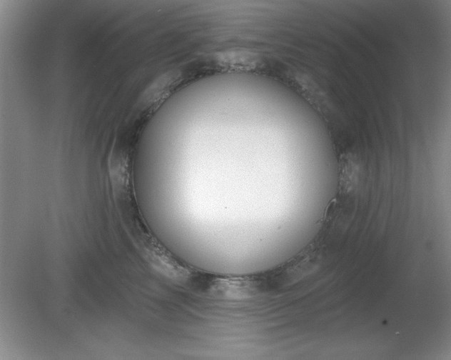 X0000081380713200701182205
