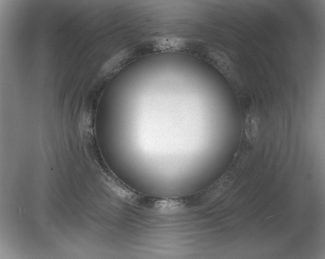 X0000081380714200701182205