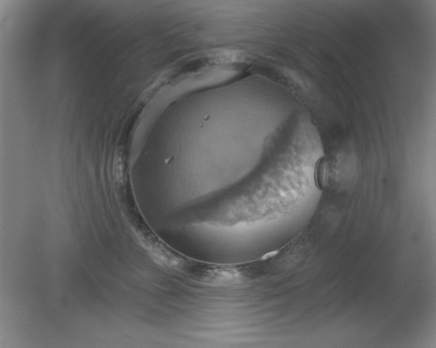 X0000081380715200701182205