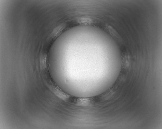 X0000081380717200701182205