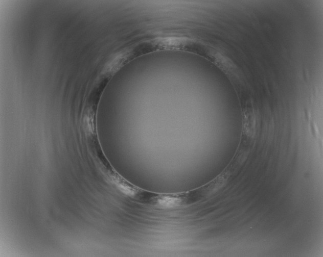 X0000081380718200701182205
