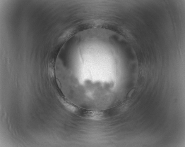 X0000081380719200701182205