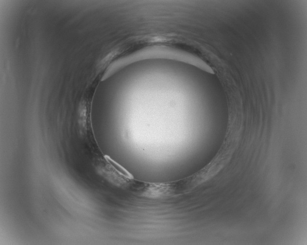 X0000081380720200701182205