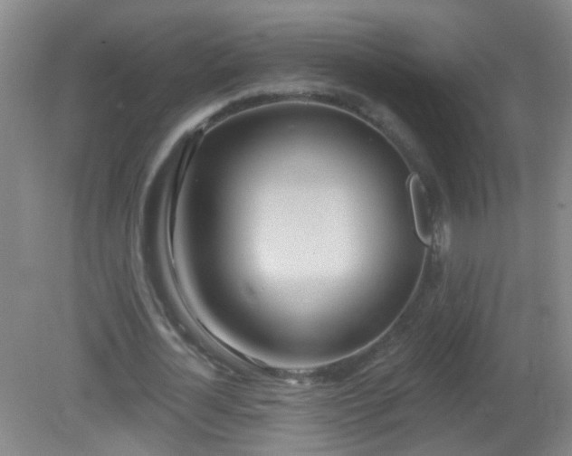 X0000081380724200701182205