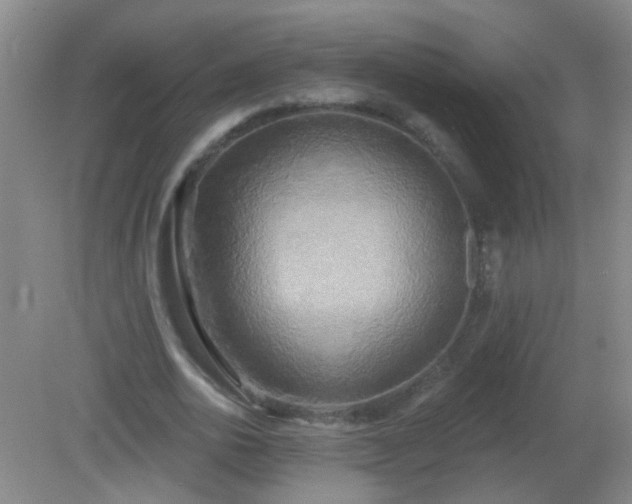 X0000081380726200701182205