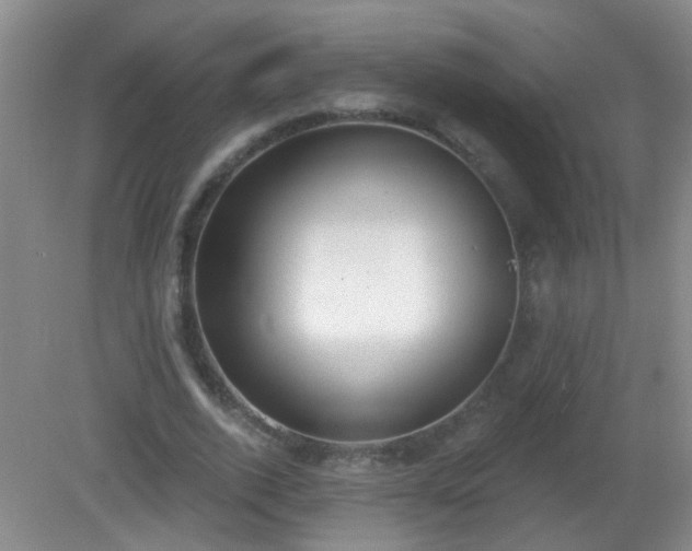 X0000081380728200701182205