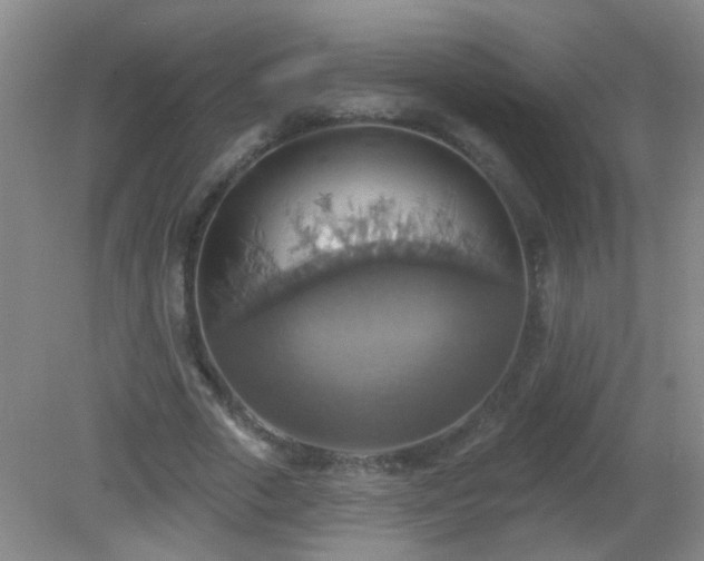 X0000081380729200701182205