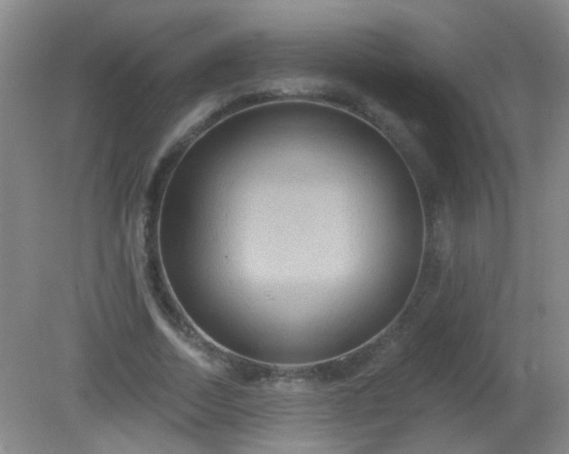 X0000081380730200701182205