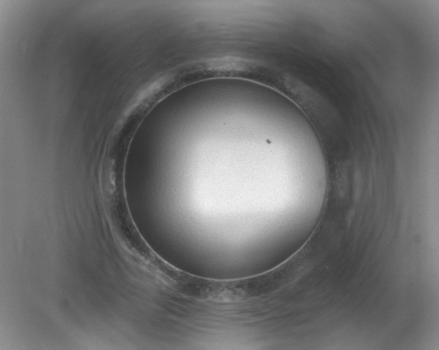 X0000081380731200701182205