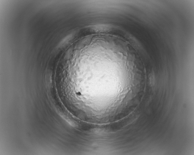 X0000081380733200701182205