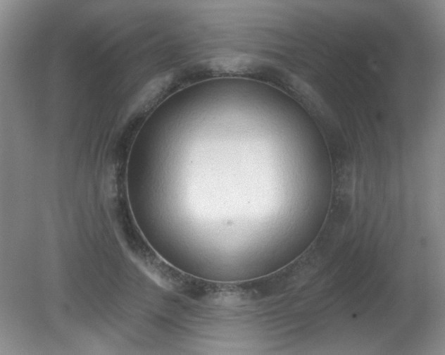 X0000081380738200701182205