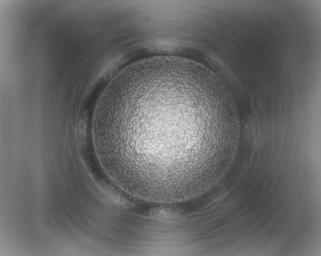 X0000081380739200701182205