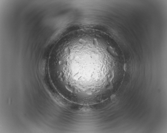 X0000081380742200701182205