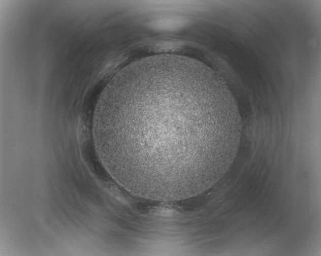 X0000081380743200701182205