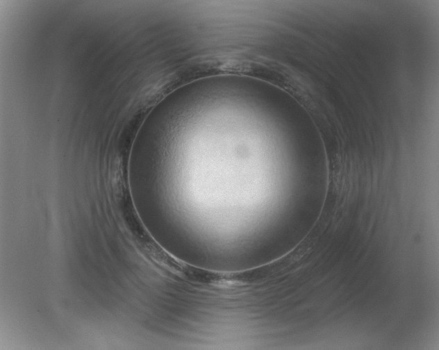 X0000081380748200701182205
