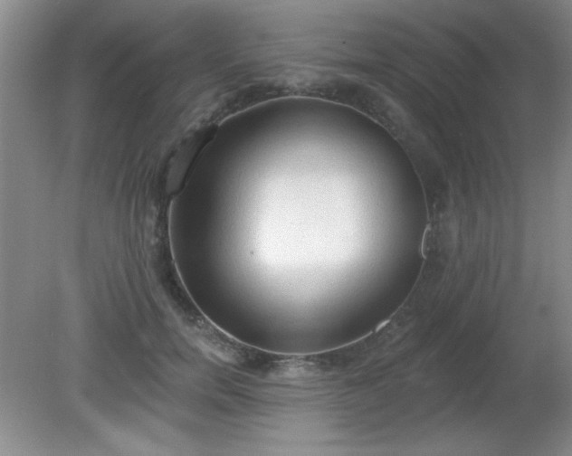 X0000081380750200701182205