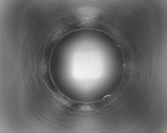 X0000081380751200701182205