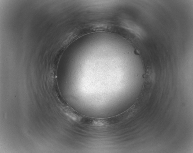X0000081380753200701182205