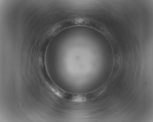 X0000081380754200701182205