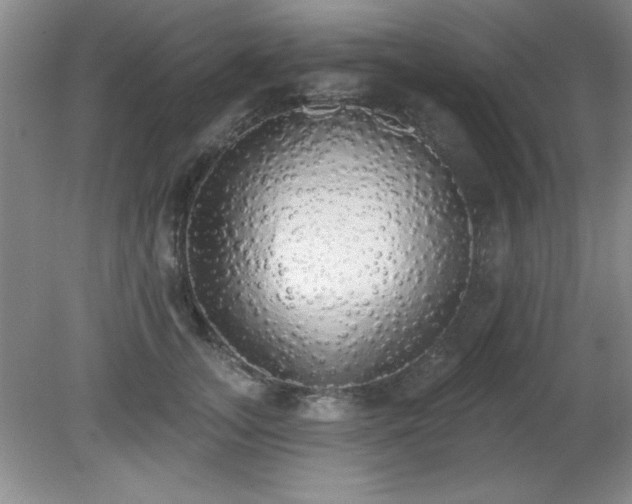 X0000081380755200701182205