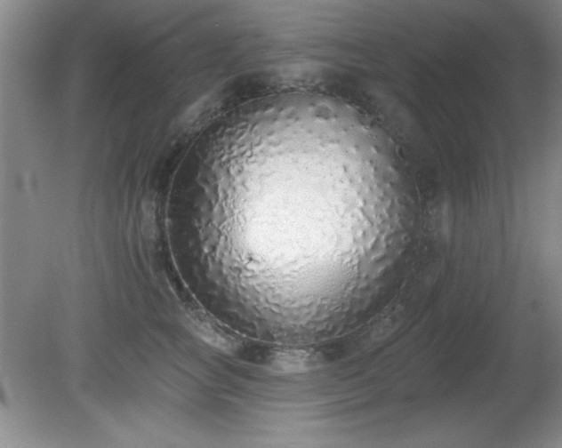 X0000081380757200701182205