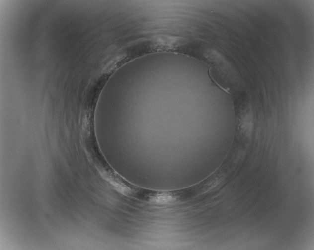 X0000081380759200701182205