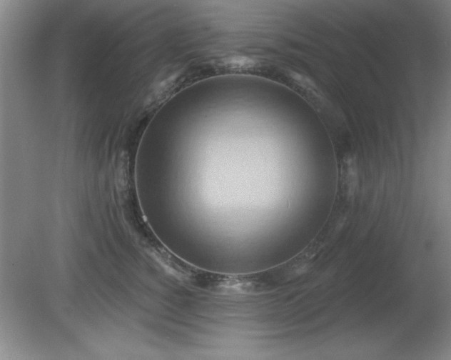 X0000081380760200701182205