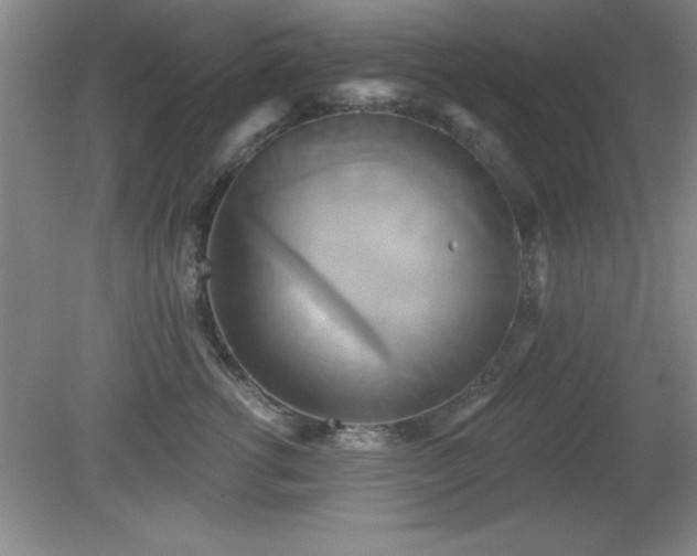 X0000081380762200701182205